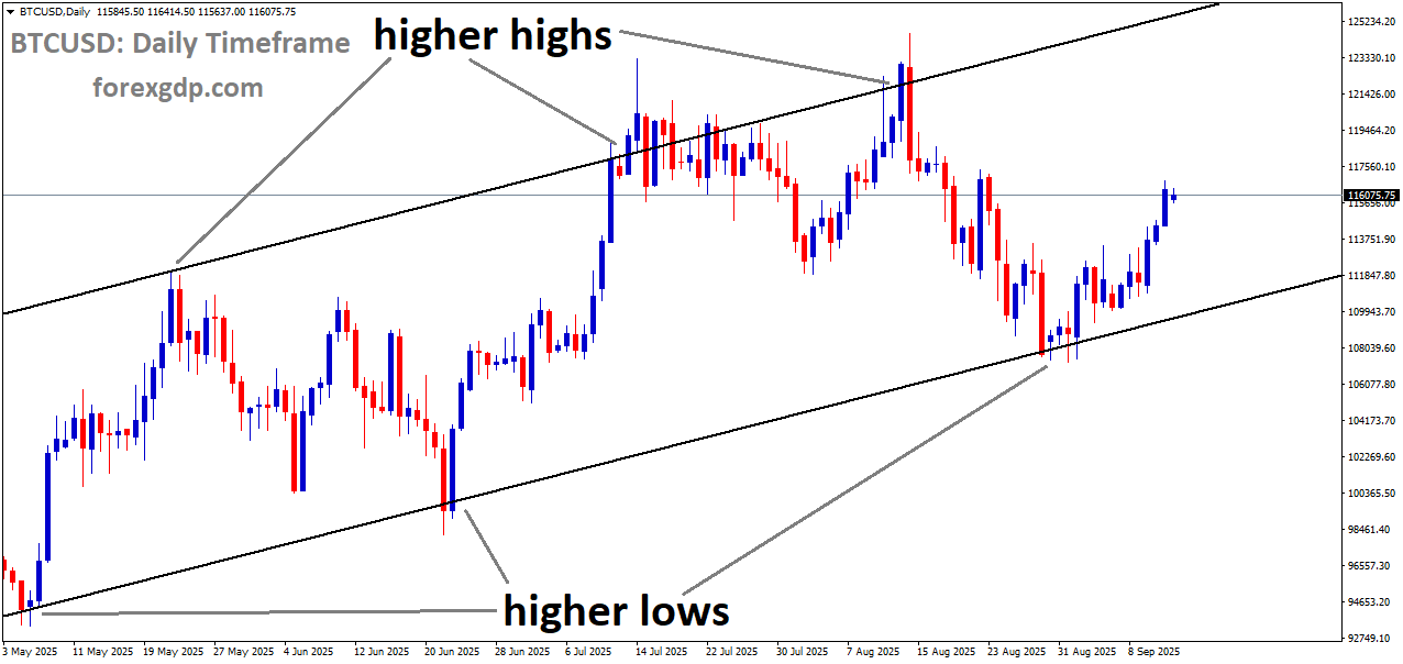 BTCUSD is moving in an uptrend channel, and the market has rebounded from the higher low area of the channel