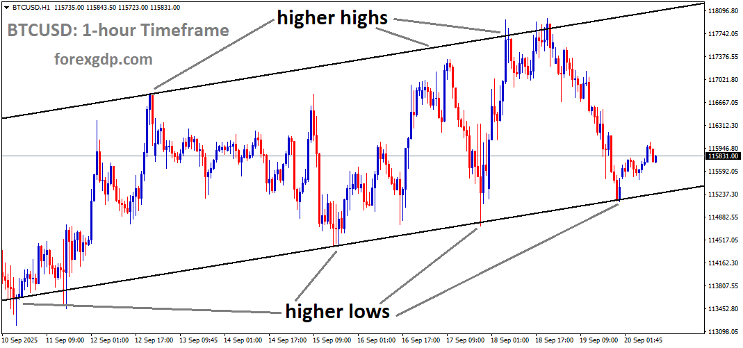 BTCUSD is moving in an uptrend channel, and the market has rebounded from the higher low area of the channel