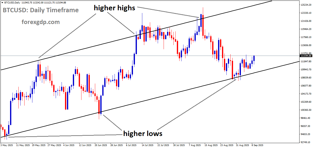 BTCUSD is moving in an uptrend channel, and the market has rebounded from the higher low area of the channel