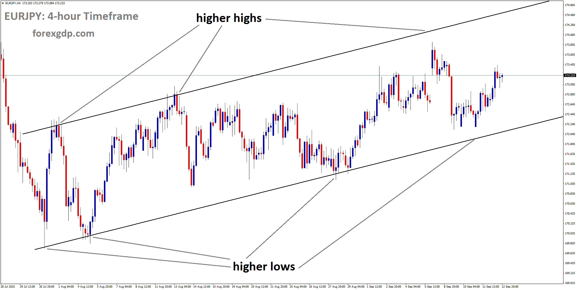 EURJPY is moving in an uptrend channel, and the market has rebounded from the higher low area of the channel