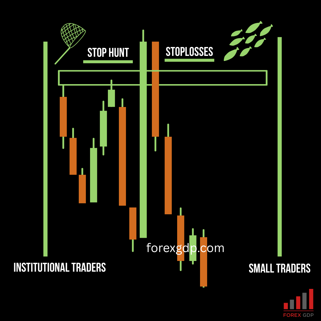 Stop Hunts in Forex The Ugly Truth Behind Why Small Traders Keep Losing Stop Hunts in Forex The Ugly Truth Behind Why Small Traders Keep Losing