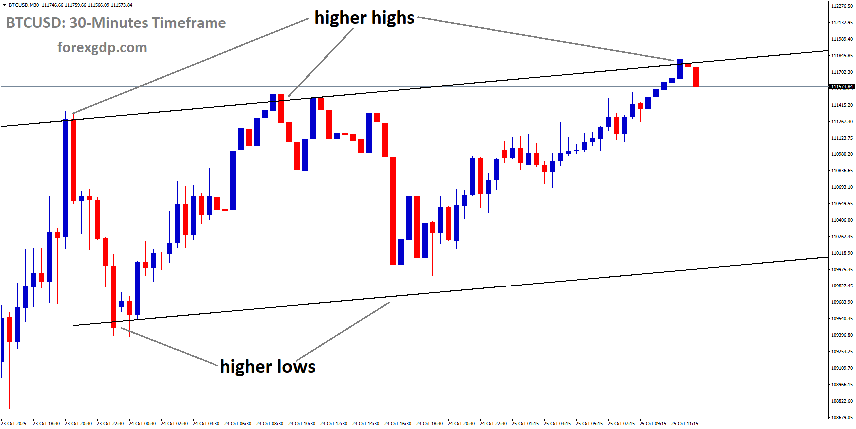 BTCUSD is moving in an uptrend channel, and the market has reached a higher high area of the channel