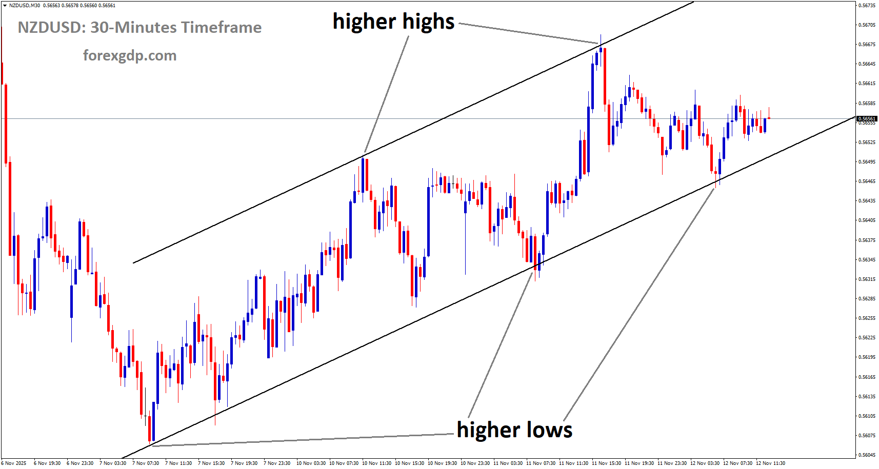 NZDUSD is moving in an uptrend channel, and the market has rebounded from the higher low area of the channel NZDUSD is moving in an uptrend channel, and the market has rebounded from the higher low area of the channel