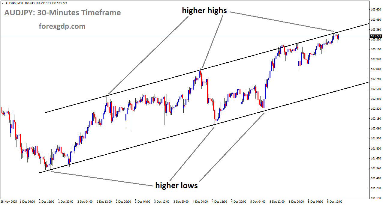 AUDJPY is moving in an uptrend channel, and the market has reached a higher high area of the channel AUDJPY is moving in an uptrend channel, and the market has reached a higher high area of the channel