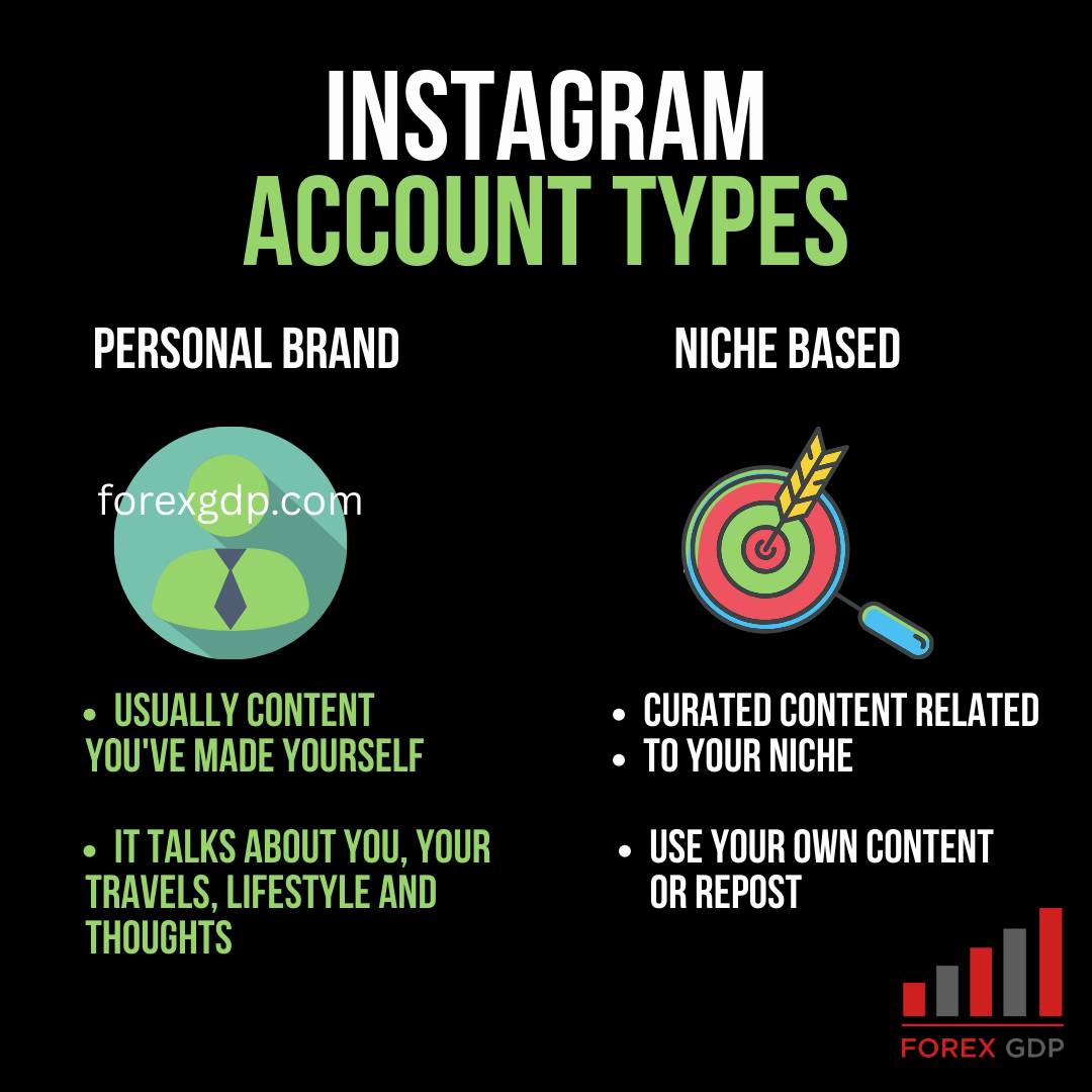 Curated visual reference: Visual Reference: Instagram Account Types Personal Brand Vs Niche Based Accounts