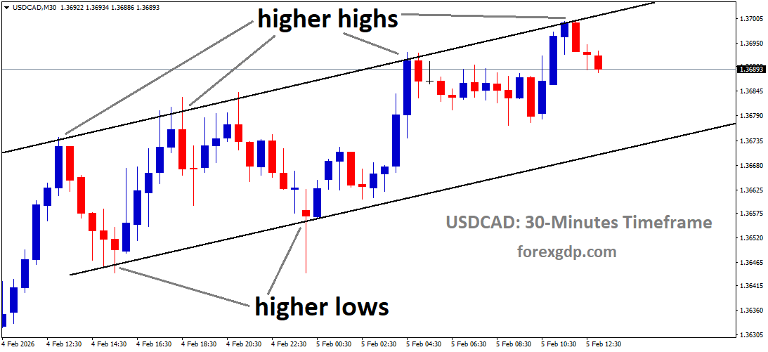 USDCAD is moving in an uptrend channel, and the market has fallen from the higher high area of the channel USDCAD is moving in an uptrend channel, and the market has fallen from the higher high area of the channel