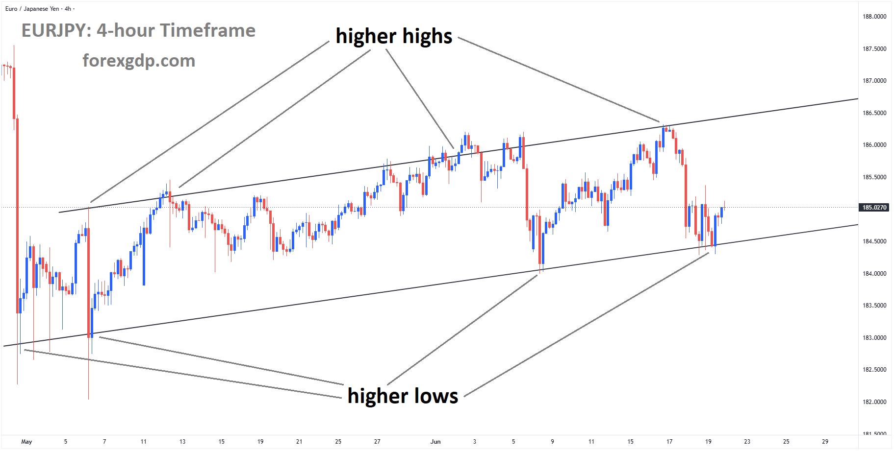 EURJPY is moving in an ascending channel, and the market has rebounded from the higher low area of the channel